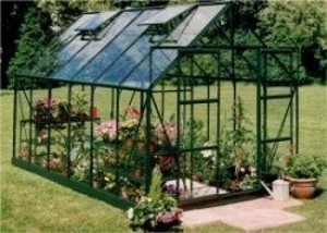 GREEN MAGNUM 12ft x 8ft GREENHOUSE HORTI